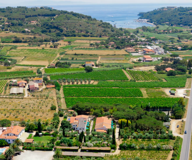 Azienda Agricola Sapereta